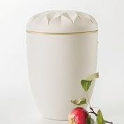 Produktfoto Urnenmodell Samosa hell